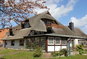Haus 1795  Specht