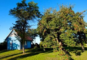Ferienhaus Kranichblick am Bodden