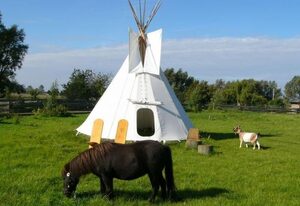 Ranchhaus