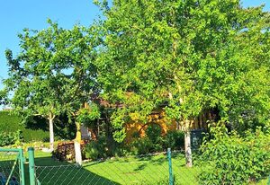 Ferienhaus Juhnke