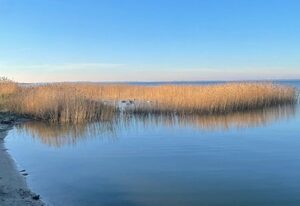Ferienhaus am Saaler Bodden (****) – Doppelhaushälfte