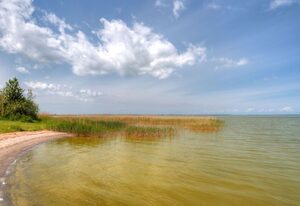 "Saaler Bodden"