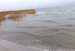 Haus Saaler Bodden