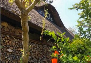 Künstlerhaus – Charlottes Landlust