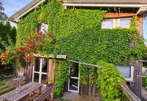 Grünes Sundchalet – Ferienhaus