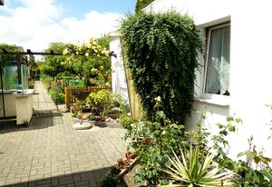 Ferienwohnungen in der Greifswalder Chaussee – 1-Raum-Wohnung