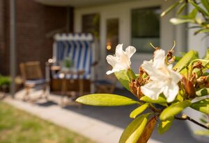 Strandperle – Modernes 2-Zimmer App. mit Terrasse, PKW-Stellplatz, WLAN. Haustiere erlaubt.