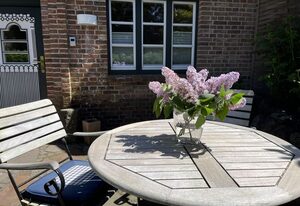 Kiebitz – Schönes 2-Zimmer App. mit Terrasse, PKW-Stellplatz, WLAN. Haustiere erlaubt.
