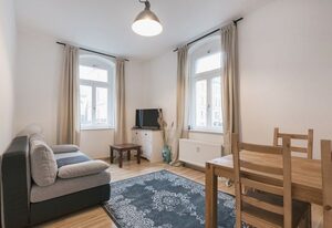 Dresden365 FeWo Pieschen 1 Netflix