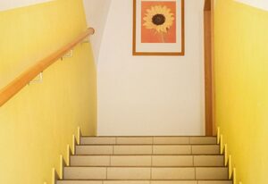 dresdnerferienwohnung - apartment am großen garten