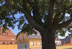 Ferienhaus zur Eiche am Dorfanger – Ferienwohnung Claudia kl. FW