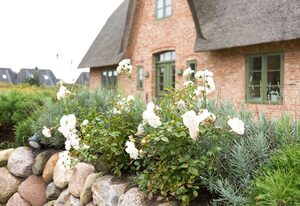 Lille Mage – Freistehendes State-of-the-art-Einzelhaus in strandnaher Lage Wenningstedts.