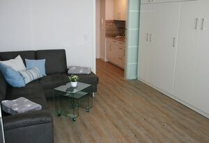 Haus Metropol - App. 76