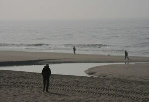 Haus am Meer - App. 169