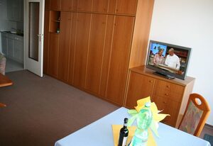 Haus Metropol - App. 312a