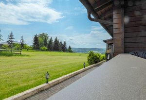 Schöne Aussicht – Löwenzahn .1