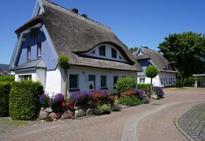 Kranich