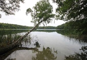 Ferienwohnungen direkt an der Havel-Wasser-Straße (21993) – Ferienwohnung mittel
