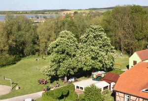 Wasserwandererrastplatz Wesenberg – Stellplatz Zelt 04