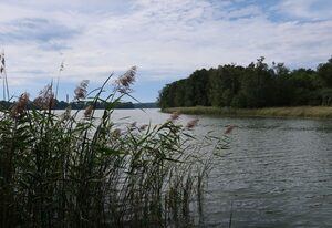 Am Pälitzsee – Am Pälitzsee .1