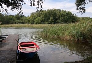 Am Pälitzsee – Am Pälitzsee .1