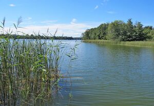 Am Pälitzsee – Am Pälitzsee .1