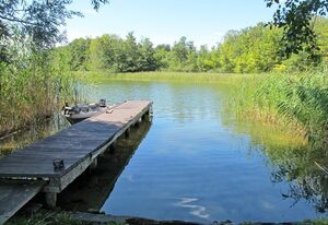 Am Pälitzsee – Am Pälitzsee .1