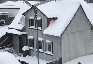 Ferienhaus Alwine