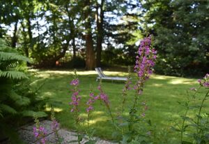 FeWo Annette in Riepe – Ferienwohnung Annette
