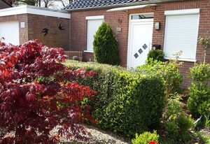 Schwalbennest Ostfriesland