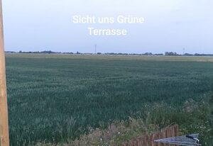 Boje 34