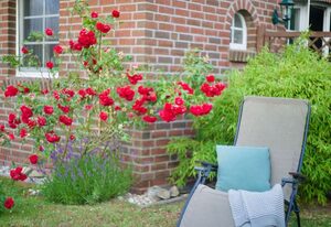 Am Deich – Klassisches Ferienhaus für 6 Personen mit Kamin am Greetsieler Deich