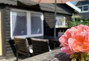Ferienhaus Muckelbude