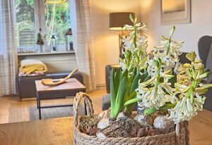 Ferienhaus Villa Mullewapp