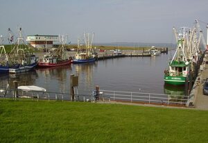 Ferienhaus in Dornumersiel 20-158a – 200-158a