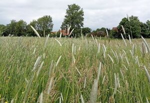 Ferienhaus Landschaft