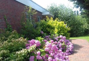 Ferienbungalow Hortensie