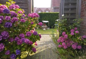 Ferienhaus Jonathan