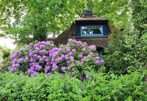 Traumhaftes Reetdachhaus "Grote Eken" in der Lüneburger Heide