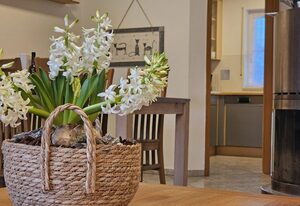Ferienhaus Ankerplatz im Bootshaus