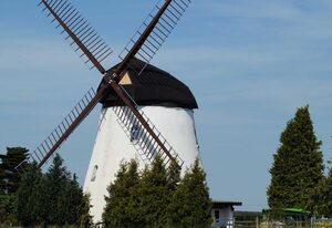 Mühlenurlaub Südheide – kleine Ferienwohnung bei der Windmühle
