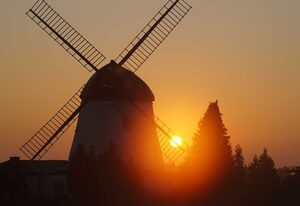 Mühlenurlaub Südheide – kleine Ferienwohnung bei der Windmühle