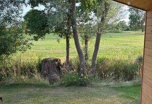 (108) Tiny House mit Blick ins Grüne