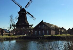 (5) Langeoog