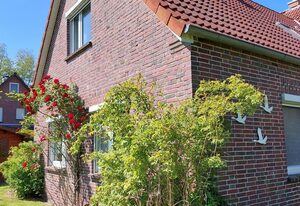 Ferienhaus ENTENKOJE by fewo-plan (DORN300) an der Nordsee bei Dornumersiel