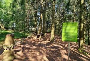 Ferienwohnung Kiefernblick