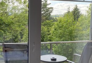 Doppelzimmer  1.2 mit Parkblick