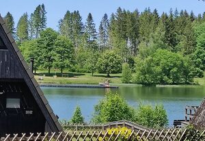 Hexenhaus im Harz