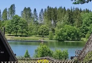 Hexenhaus im Harz