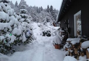Zimmer 2 / Gästezimmer Haus Talblick Lautenthal / Langelsheim